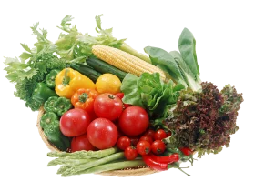 Fresh and Colorful Farmers Market Vegetable Clipart Showcase of Seasonal Produce