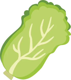 Fresh and Crisp Napa Cabbage Leafy Vegetable Cartoon Clipart Illustration