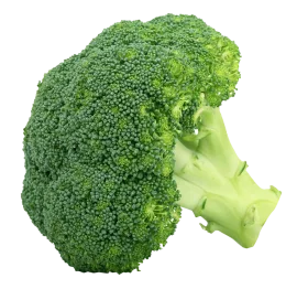 Fresh Green Broccoli Floret Clipart: A Nutritious Vegetable Illustration