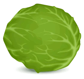 Fresh Green Cabbage Leaf Clipart Illustration with Textured Surface