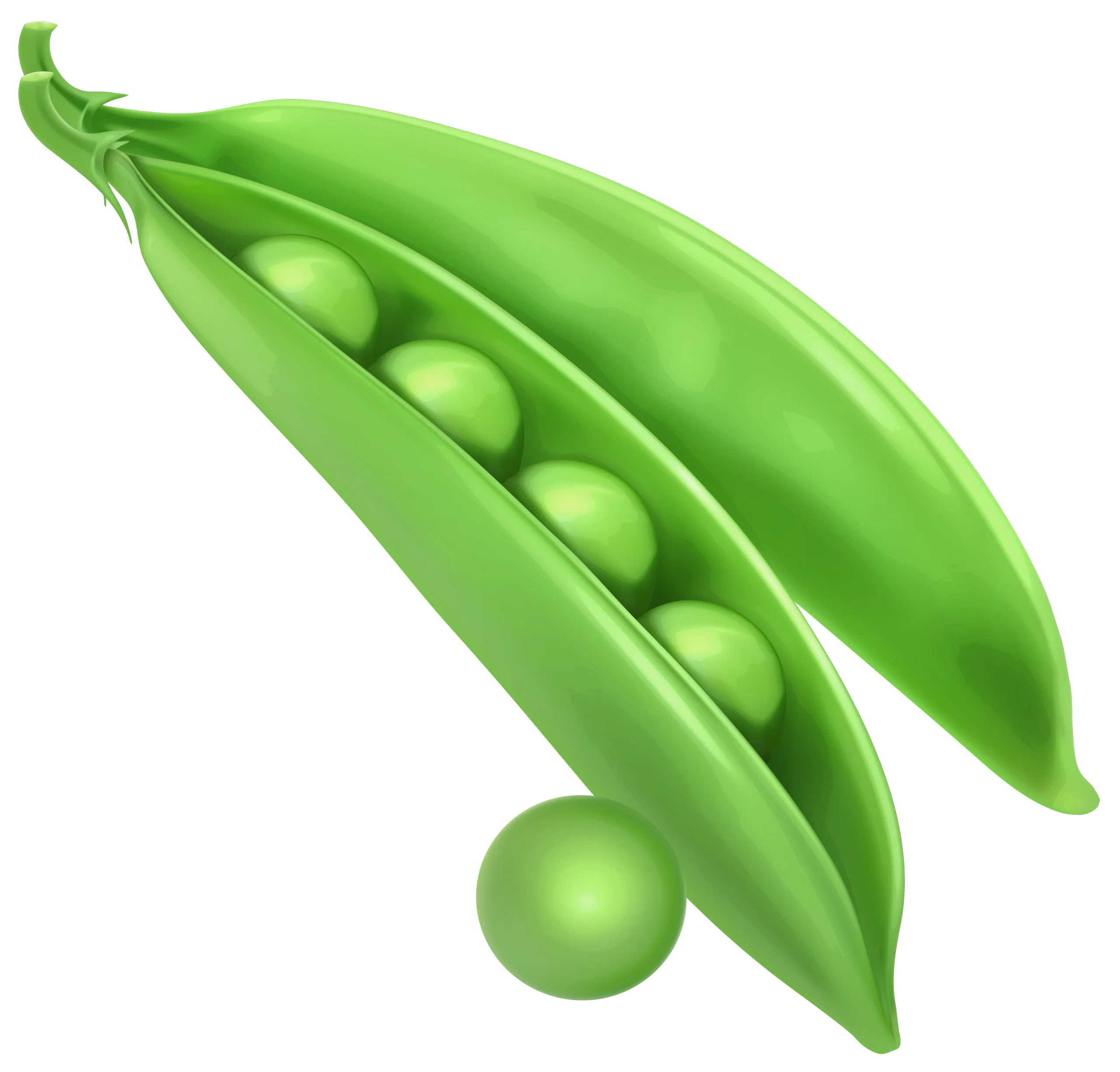 Fresh Green Pea Pod Clipart Illustration Showcasing Organic Vegetable Design