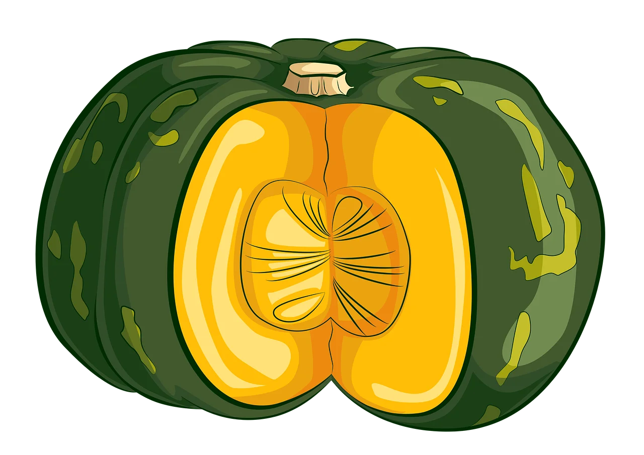 Lush Green and Golden Acorn Squash Botanical Clipart Illustration