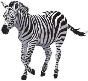 Majestic Zebra Clipart: Striking Black and White Striped Safari Animal Illustration