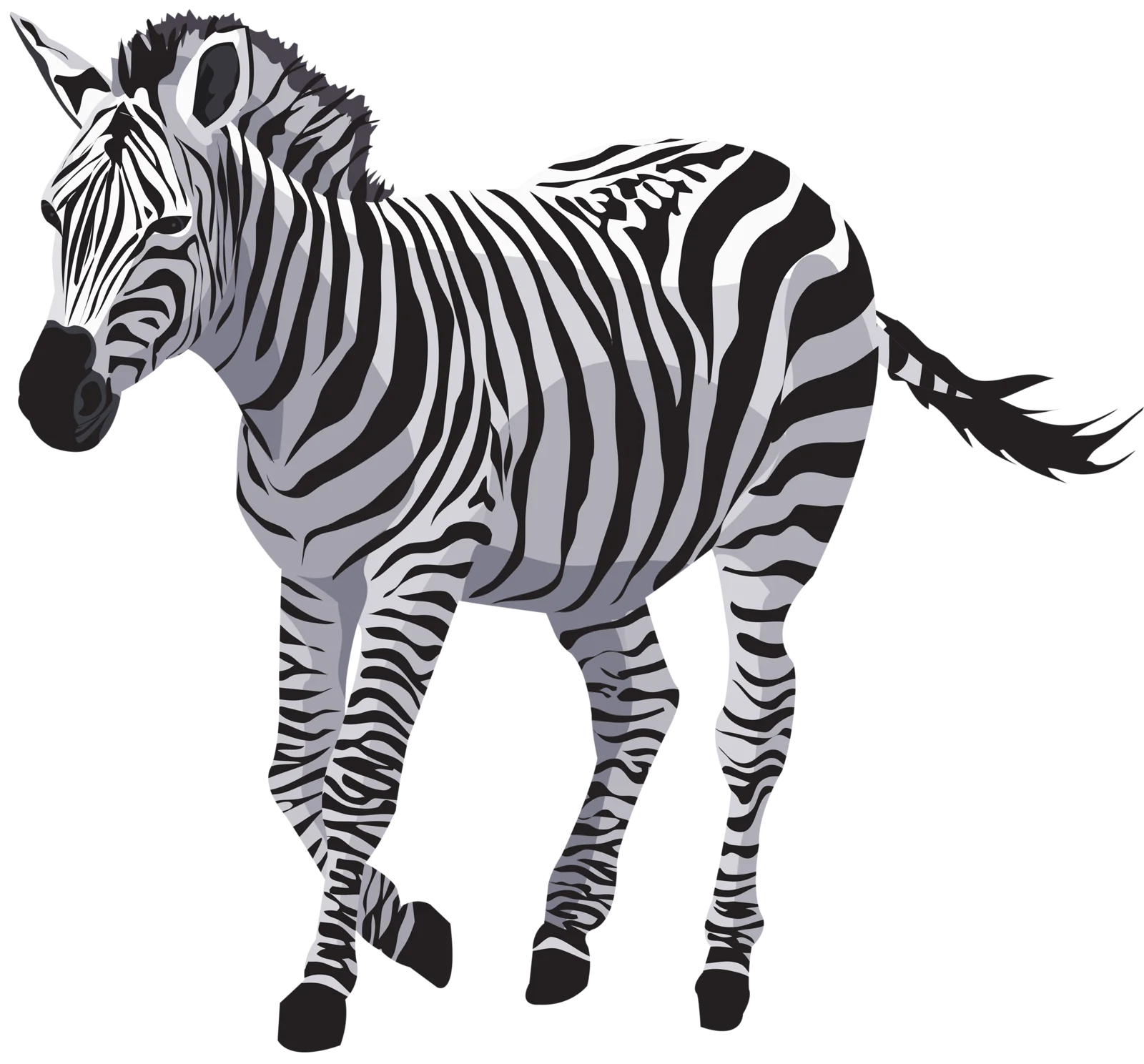 Majestic Zebra Clipart: Striking Black and White Striped Safari Animal Illustration