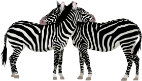 Minimalist Black and White Zebras Clipart - Stylized Graphic Design Illustration