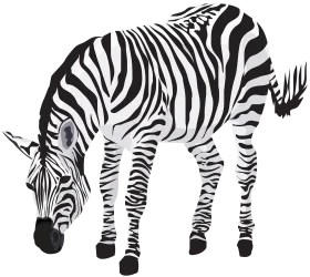 Monochromatic Zebra Clipart Illustration: Detailed Black and White Stripes Design
