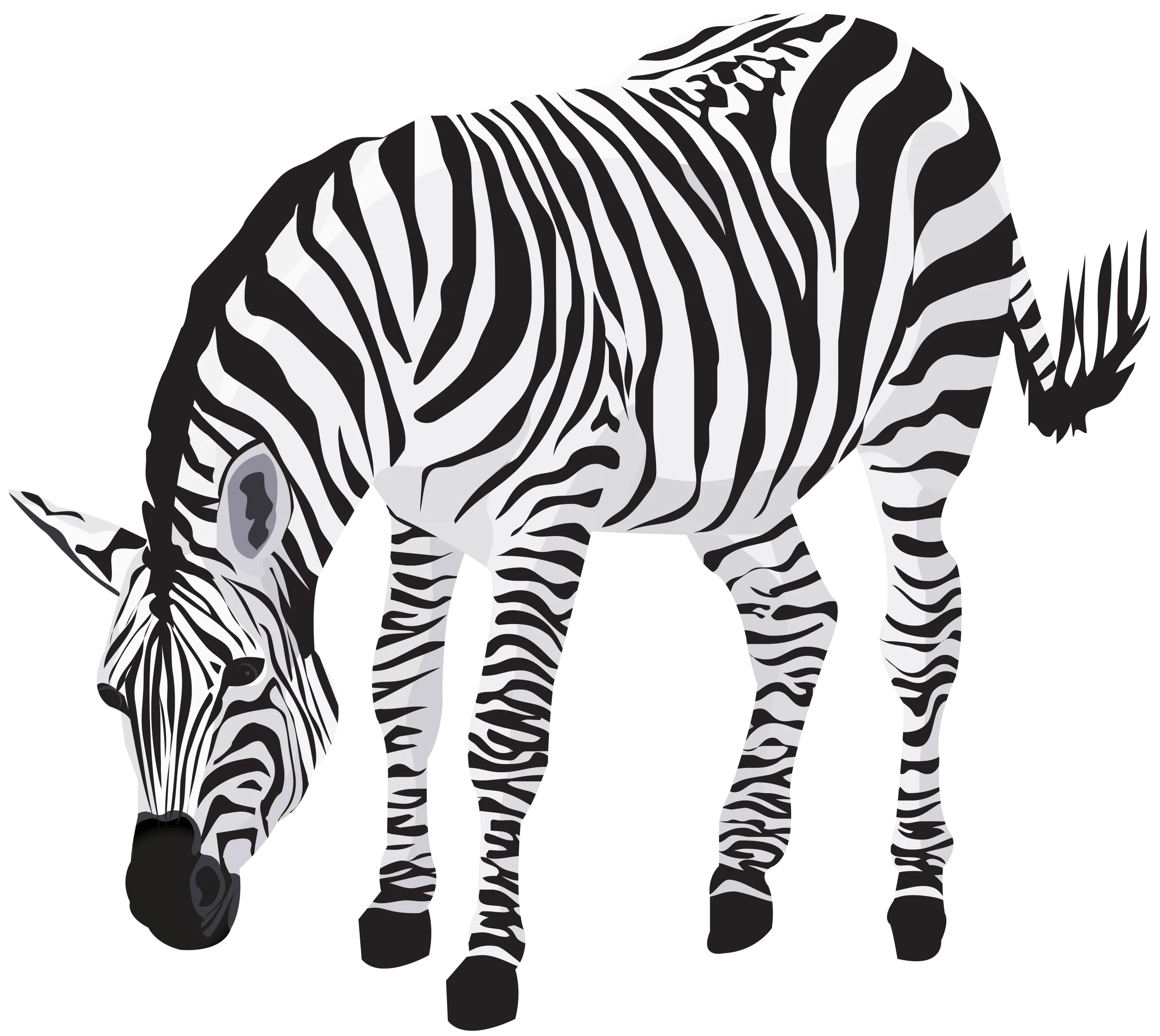 Monochromatic Zebra Clipart Illustration: Detailed Black and White Stripes Design