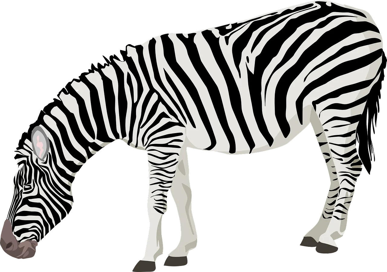 Realistic Grayscale Zebra Clipart Illustration with Striking Pattern Design
