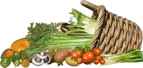 Rustic Woven Basket Brimming with Fresh Garden Harvest Clipart Illustration