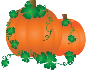 Autumnal Harvest Celebration: Lush Pumpkins with Verdant Leaves Clipart Design