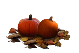 Autumnal Harvest Clipart: Rustic Pumpkins Nestled on Fallen Leaves