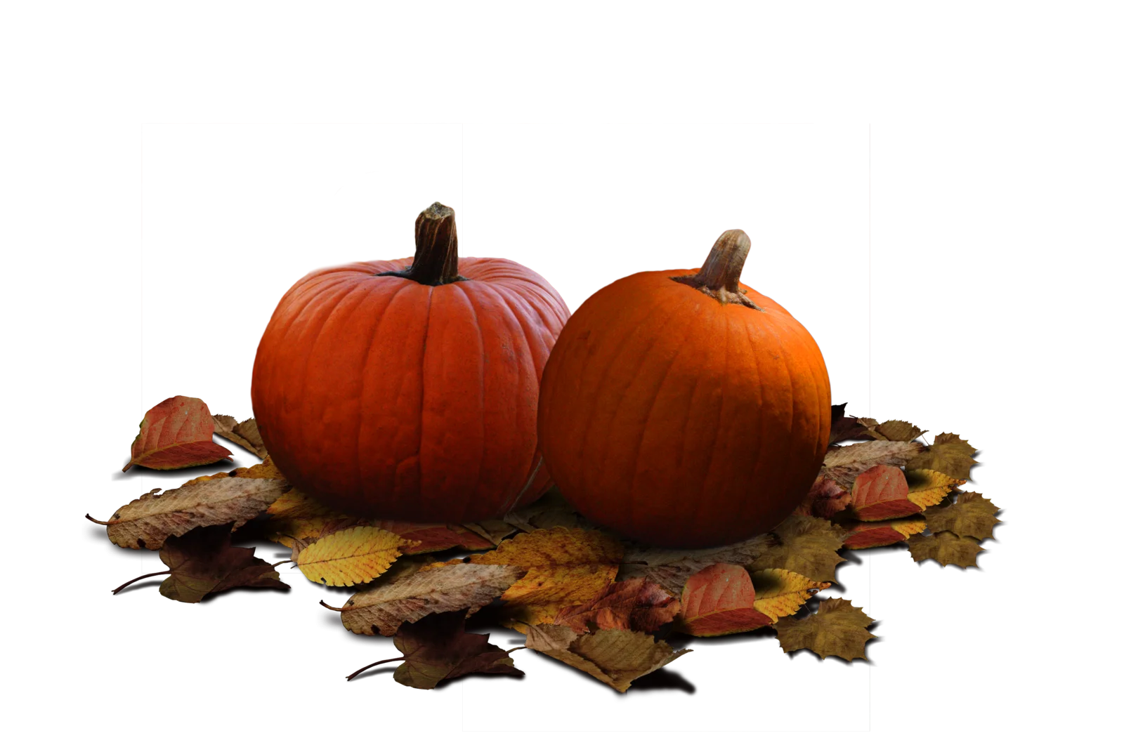 Autumnal Harvest Clipart: Rustic Pumpkins Nestled on Fallen Leaves