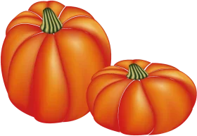Autumn's Harvest Delight: Radiant Orange Pumpkins Clipart Illustration