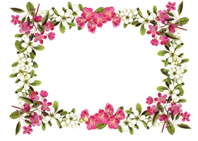 Delicate Pink Blossom Frame Clipart - Elegant Floral Border Design