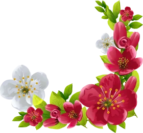 Elegant Cherry Blossom and Wildflower Corner Botanical Clipart Design
