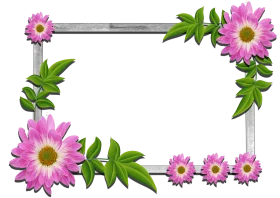 Elegant Pink Daisy Floral Frame Clipart with Lush Green Leaves and Silver Border