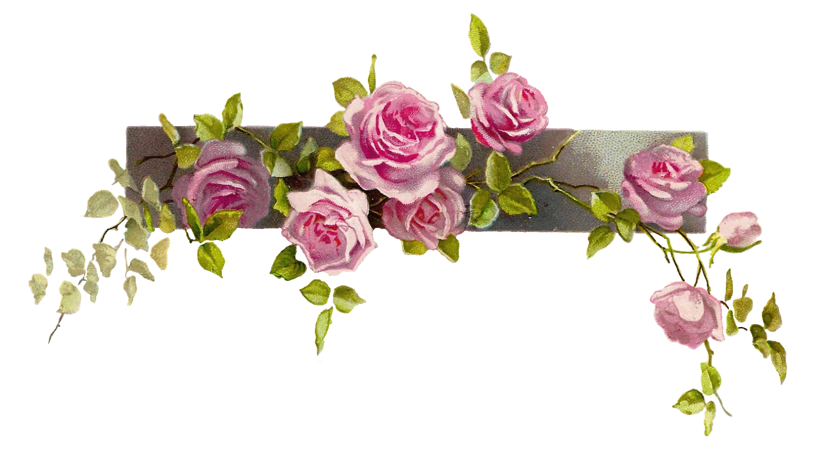 Elegant Pink Rose Floral Decoration Clipart with Delicate Green Foliage
