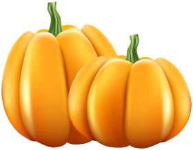 Realistic Autumn Golden Pumpkins Clipart Illustration with Glossy Texture