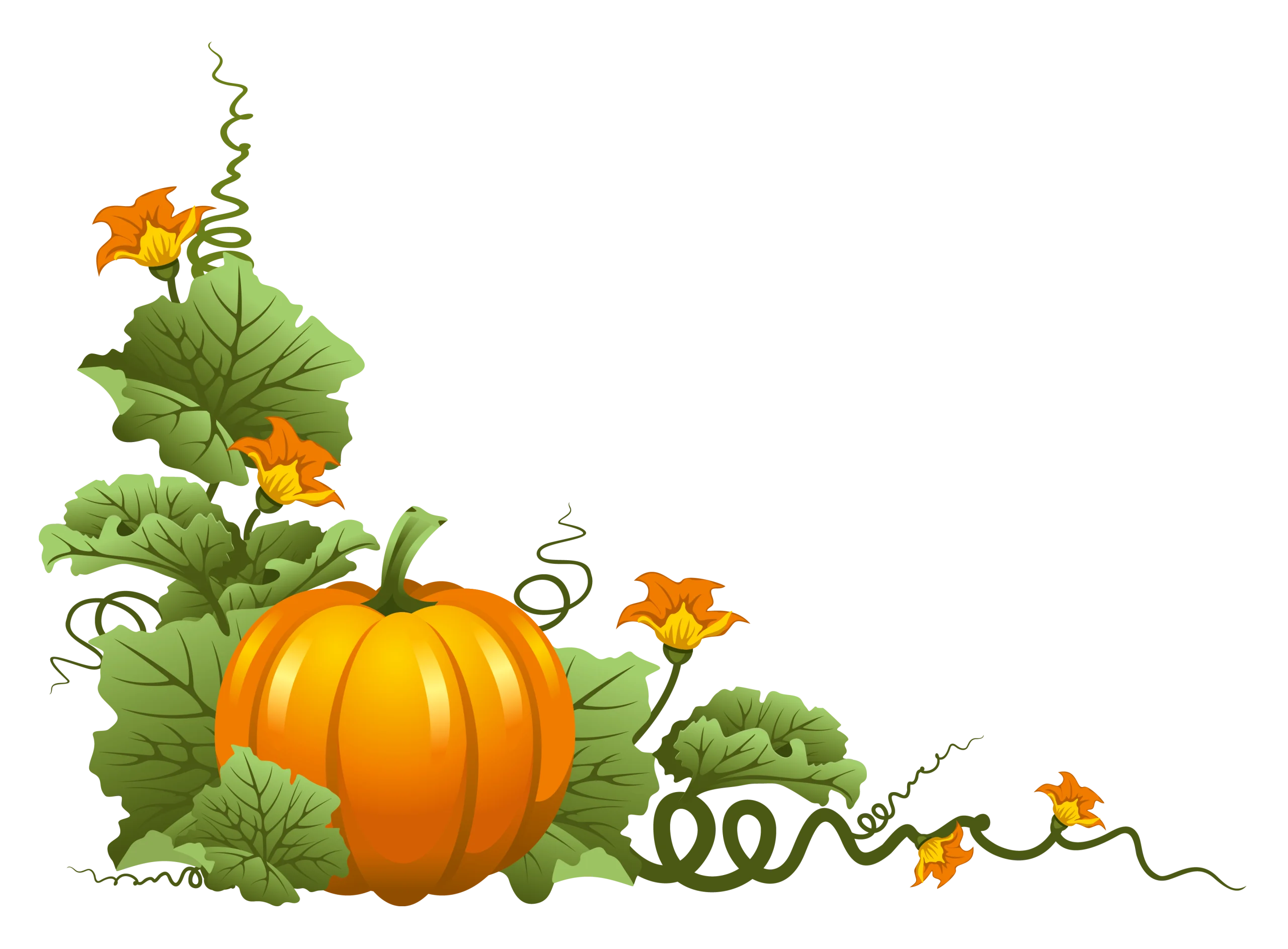Rustic Autumn Harvest Pumpkin and Vine Botanical Clipart Design Element