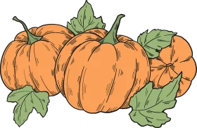 Rustic Autumn Harvest Pumpkins Clipart: Vintage Style Hand-Drawn Illustration