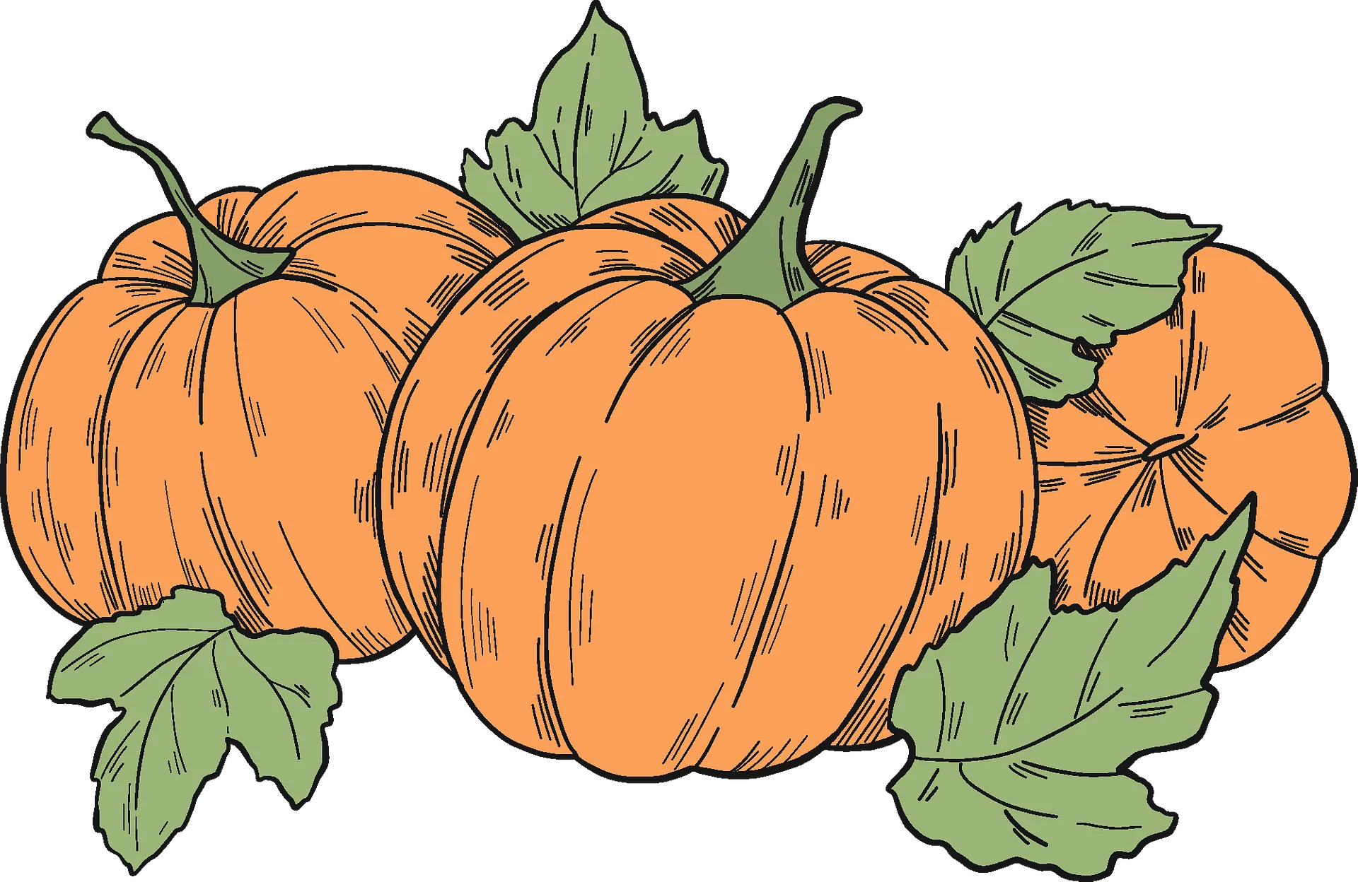 Rustic Autumn Harvest Pumpkins Clipart: Vintage Style Hand-Drawn Illustration