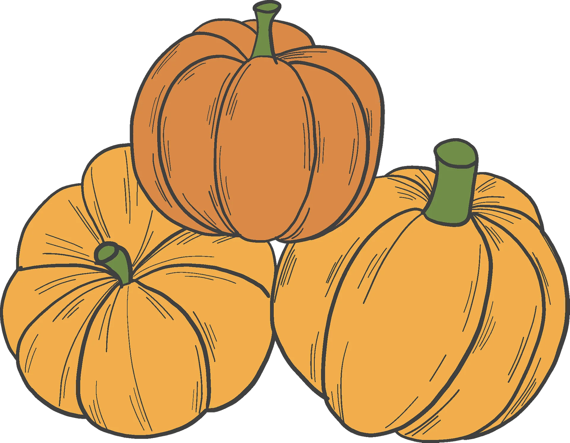 Rustic Autumn Harvest Pumpkins Clipart: Warmth of Seasonal Illustration