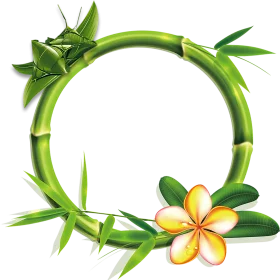Serene Green Bamboo Circle Frame with Tropical Plumeria Flower Clipart Design
