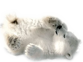 Adorable Fluffy Polar Bear Clipart Illustration in Soft Winter White Palette