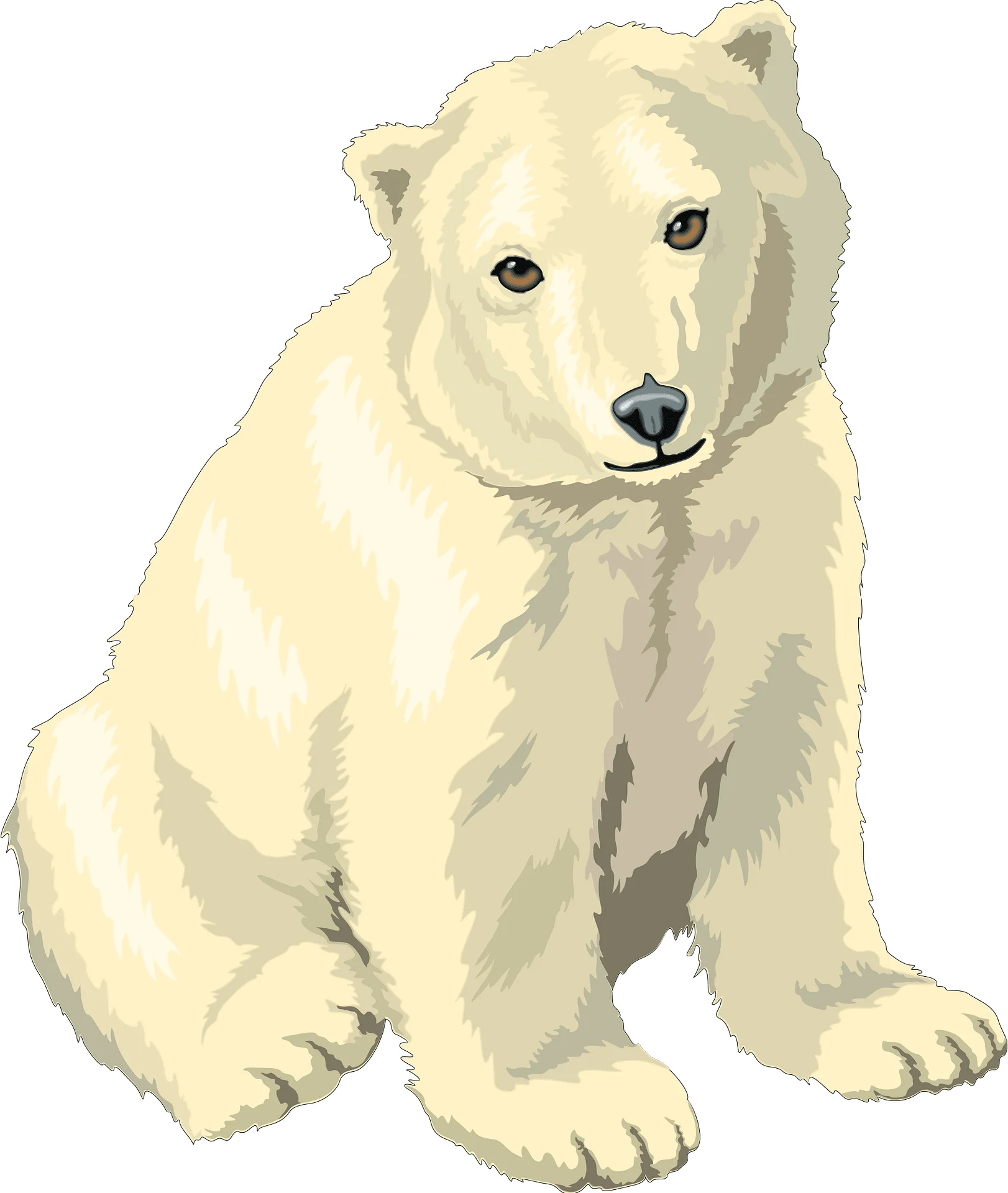 Adorable Polar Bear Clipart: Soft Illustrated Arctic Wildlife Graphic Design