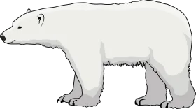 Minimalist Arctic Polar Bear Silhouette Clipart Design for Nature Graphics