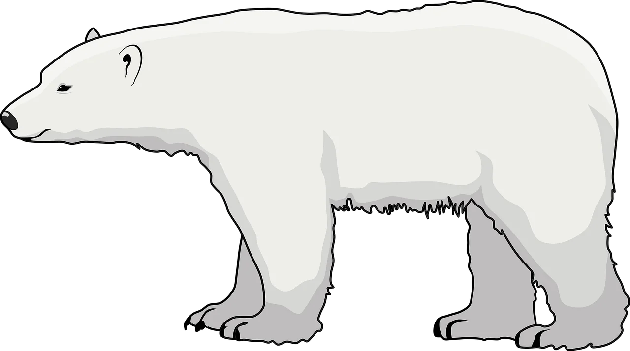 Minimalist Arctic Polar Bear Silhouette Clipart Design for Nature Graphics