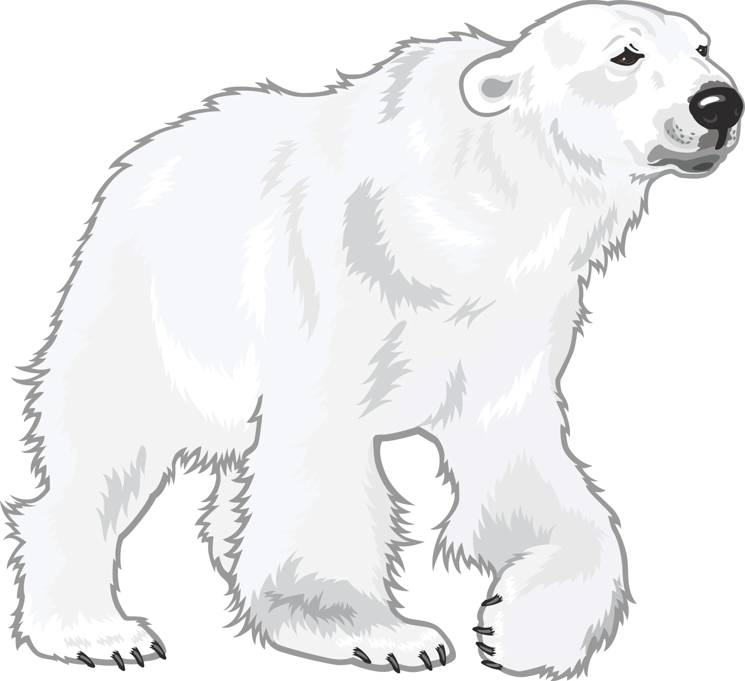 Monochromatic Winter Wanderer: Detailed Polar Bear Clipart Illustration