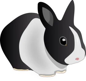 Adorable Black and White Dutch Rabbit Clipart Illustration with Soft Curves