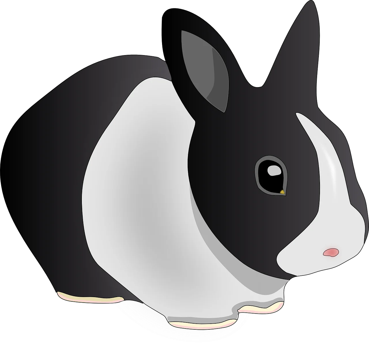 Adorable Black and White Dutch Rabbit Clipart Illustration with Soft Curves