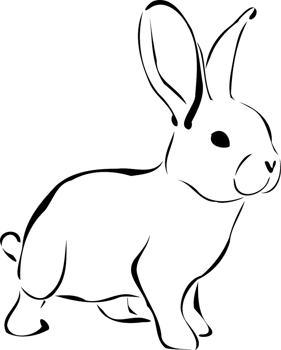Elegant Black and White Minimalist Rabbit Clipart Illustration