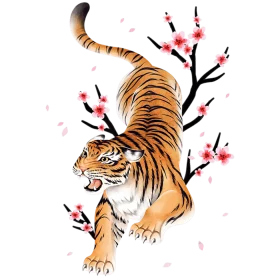 Fierce Bengal Tiger Prowling Through Delicate Cherry Blossom Clipart Illustration