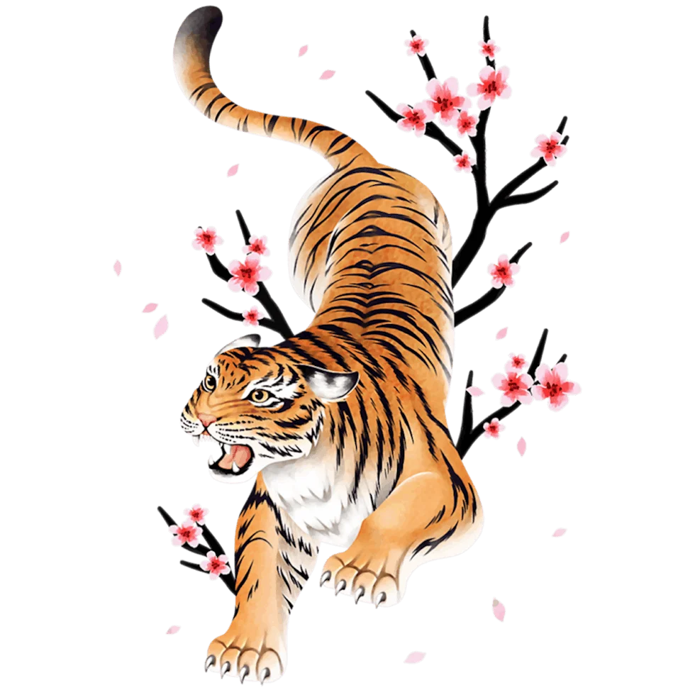 Fierce Bengal Tiger Prowling Through Delicate Cherry Blossom Clipart Illustration