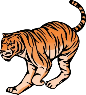 Fierce Orange and Black Bengal Tiger Clipart Illustration Design