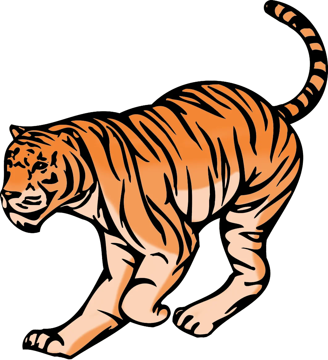 Fierce Orange and Black Bengal Tiger Clipart Illustration Design