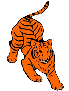Fierce Orange and Black Striped Tiger Clipart Illustration Design
