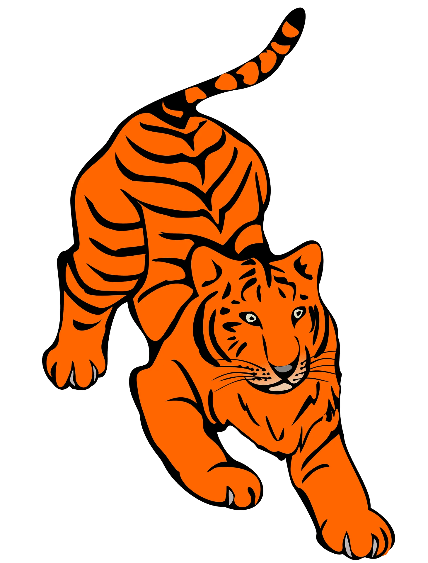 Fierce Orange and Black Striped Tiger Clipart Illustration Design