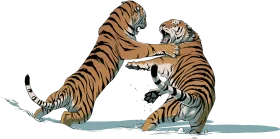 Fierce Striped Predators Engaged in Intense Wilderness Clipart Confrontation