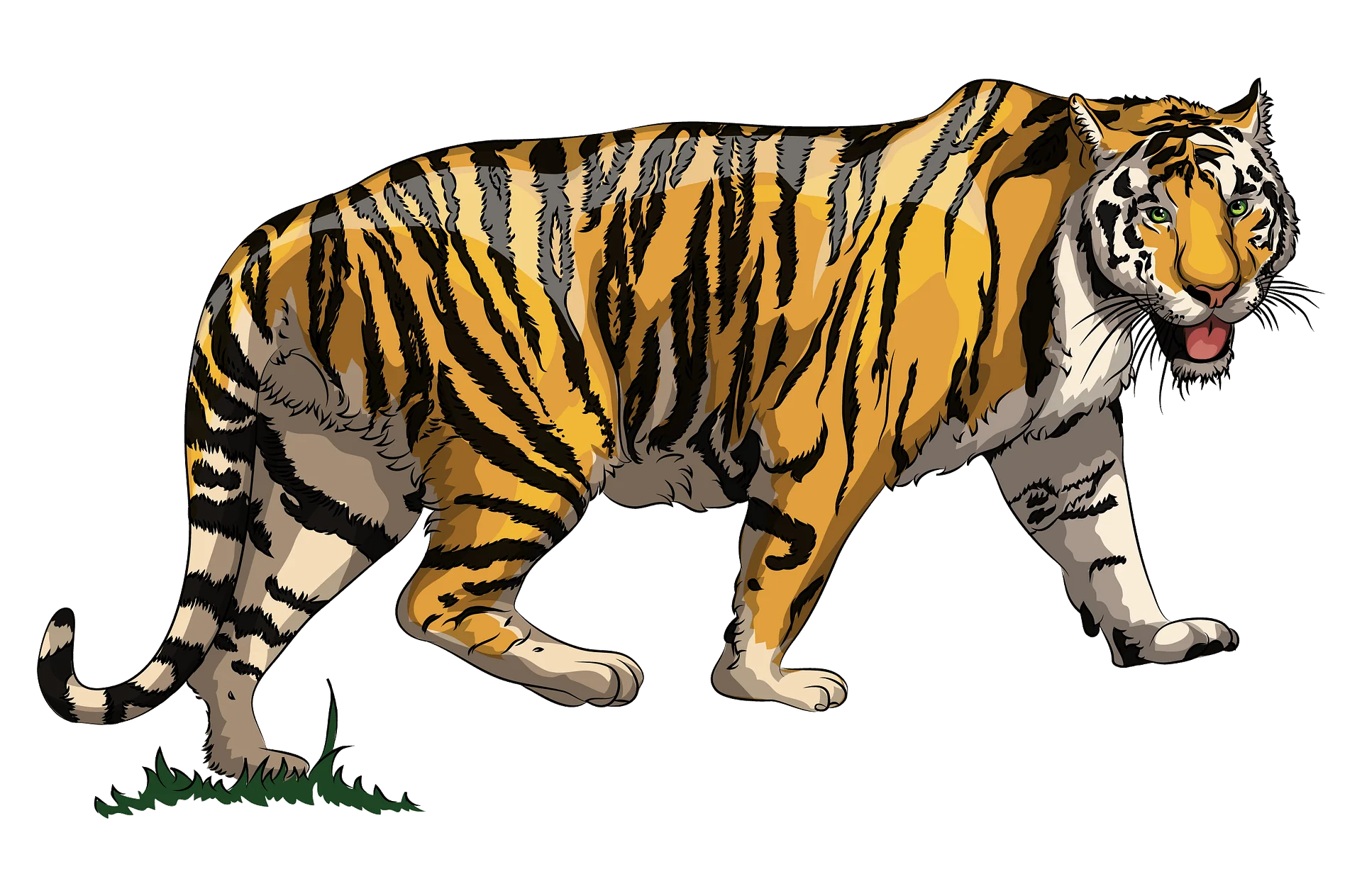 Majestic Bengal Tiger Prowling Through Grass Realistic Wildlife Clipart Illustration