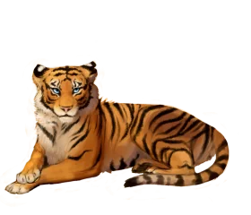 Majestic Bengal Tiger Resting Realistic Digital Clipart Illustration
