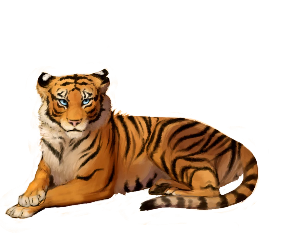 Majestic Bengal Tiger Resting Realistic Digital Clipart Illustration