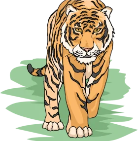 Majestic Bengal Tiger Walking Forward - Detailed Animal Clipart Illustration