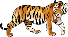 Majestic Bengal Tiger Walking Pose Detailed Wildlife Clipart Illustration