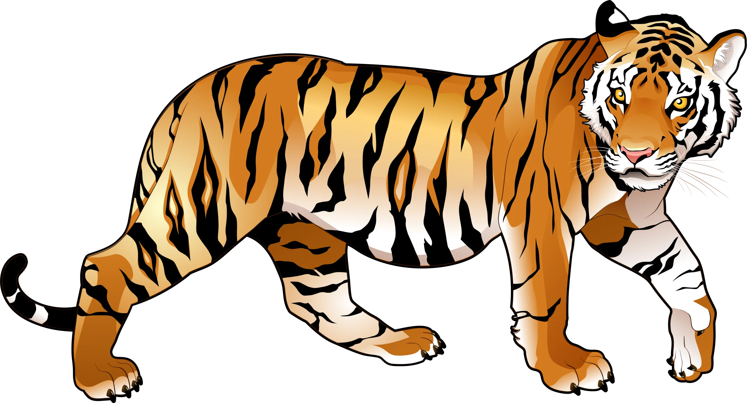 Majestic Bengal Tiger Walking Pose Detailed Wildlife Clipart Illustration