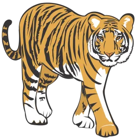 Majestic Bengal Tiger Walking Pose Vector Clipart Illustration Design