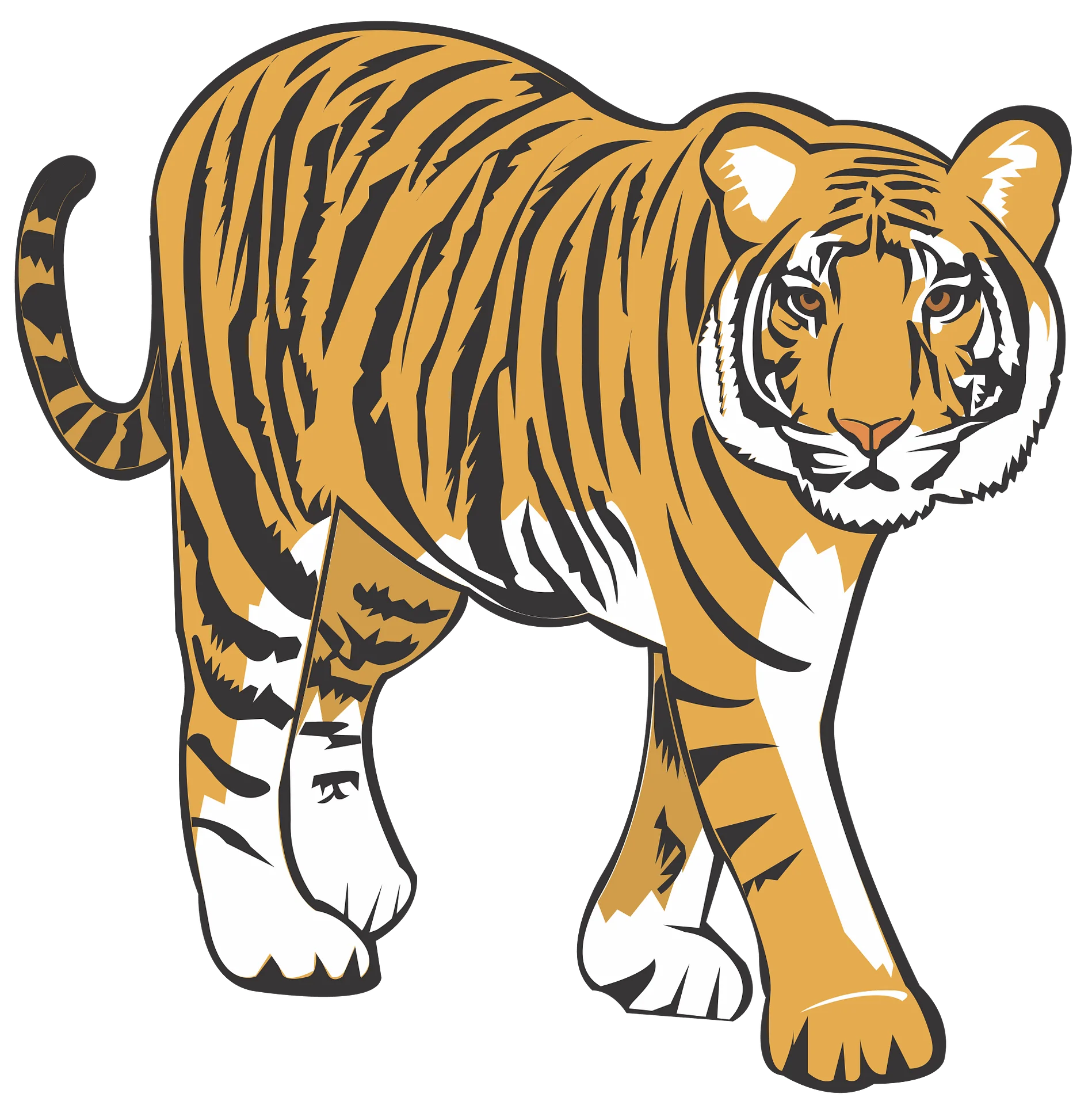 Majestic Bengal Tiger Walking Pose Vector Clipart Illustration Design